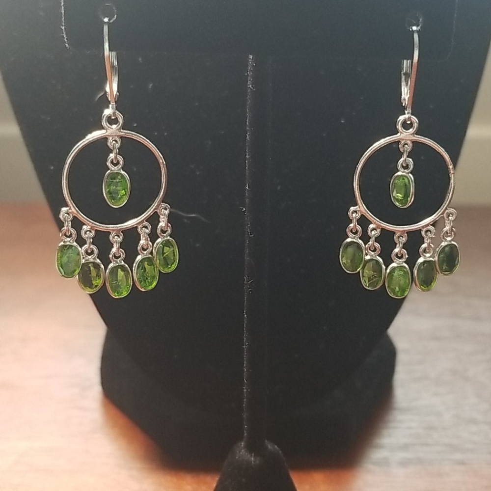Chrome Diopside earrings NWT